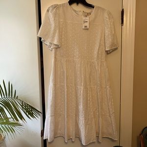 Rachel Parcell Eyelet White A-Line Flutter Sleeve Short Dress L